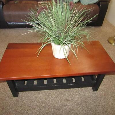 LOT 30  COFFEE TABLE AND FAUX PLANT