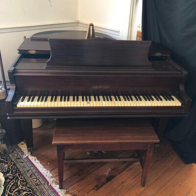 Chickering Baby Grand Piano ( D-MG )