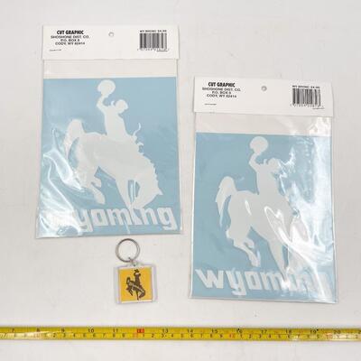 WYOMING COLLECTIBLES LOT