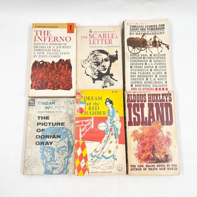 CLASSIC NOVELS BOOK LOT