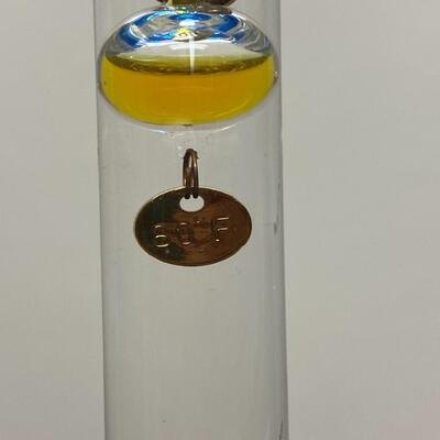 Pair of Bubble Glass Galileo Table Top Thermometers