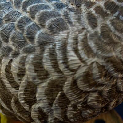 Amazing Hand Carved Folk Art Prairie Chicken