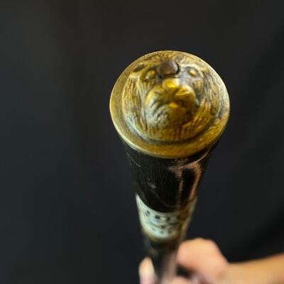 Lion Head Sword Cane Walking Stick