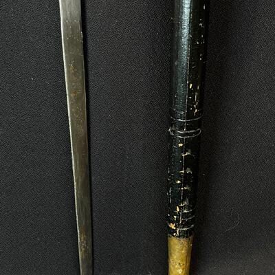 Lion Head Sword Cane Walking Stick