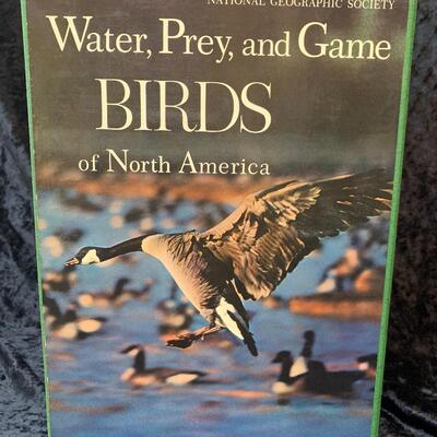 Water Birds