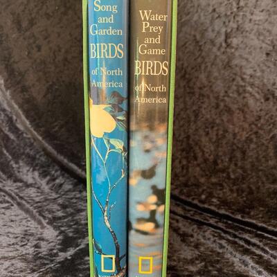 Water Birds