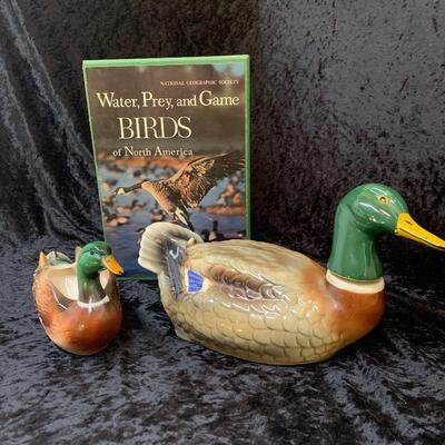 Water Birds