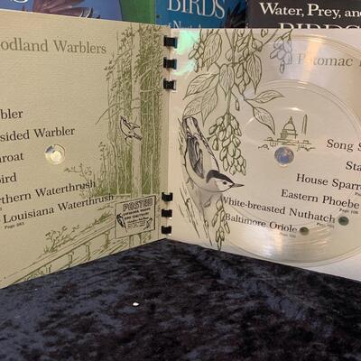 Water Birds