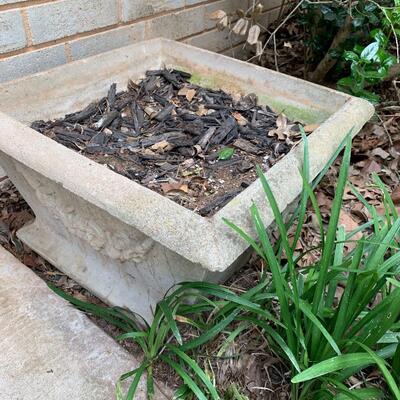 Two Concrete Planters