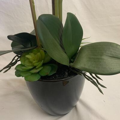 Stunning Faux Iris and Succulents