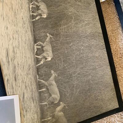 Vintage Sportsman Photos