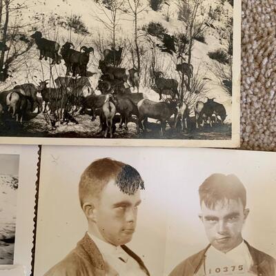 Vintage Sportsman Photos