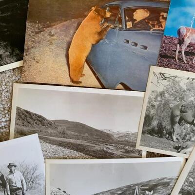 Vintage Sportsman Photos