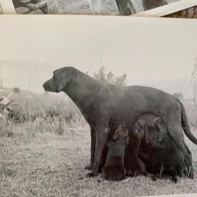 Vintage Sportsman Photos