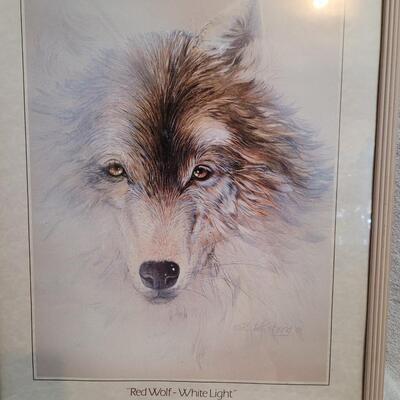 Red Wolf-White Light