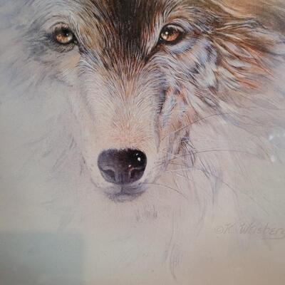 Red Wolf-White Light