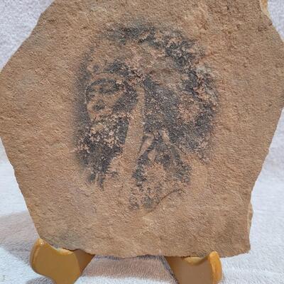 Chief face on flagstone