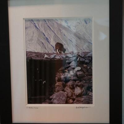 FRAMED PHOTO OF A GOAT ON MOUNTAIN LEDGE