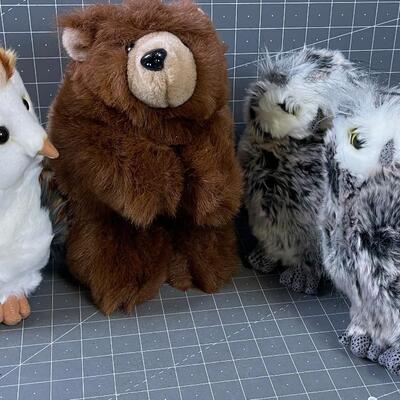 3 Owls and a Bear