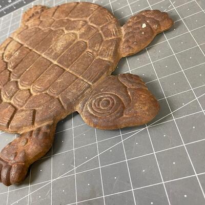 Cast Iron Stepping Stone of Turtle 