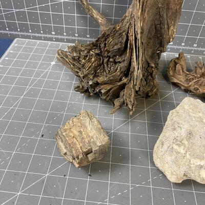Rocks and Wood: Driftwood Smaller one is Petrified Wood
