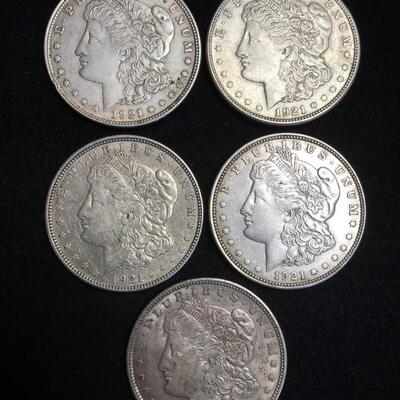 5  1921 morgan silver dollars Reserve set