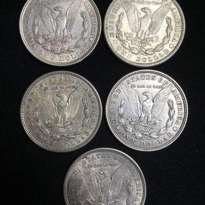 5  1921 morgan silver dollars Reserve set