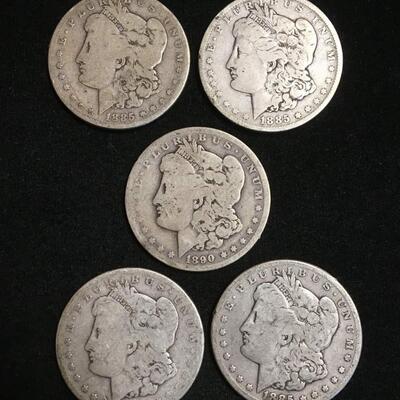 5 Morgan silver dollars. Reserve set