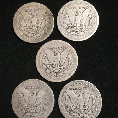 5 Morgan silver dollars. Reserve set