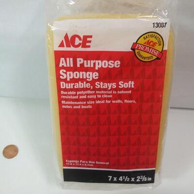#352Washing Brush and Sponge