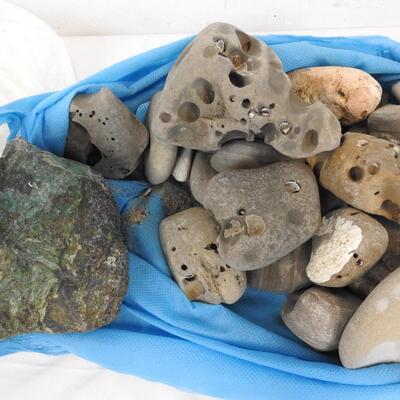 Rocks & Shells, 10 pounds