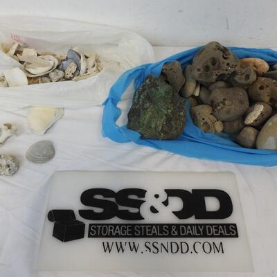 Rocks & Shells, 10 pounds
