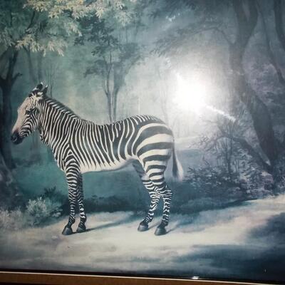 Zebra Picture