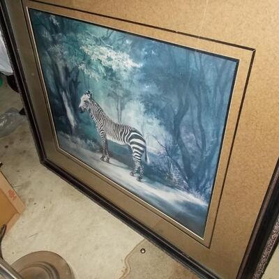 Zebra Picture