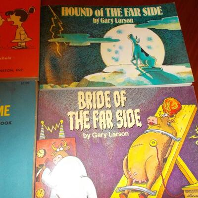 Comic Books: Peanuts, The Far Side, and Hagar