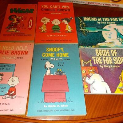 Comic Books: Peanuts, The Far Side, and Hagar