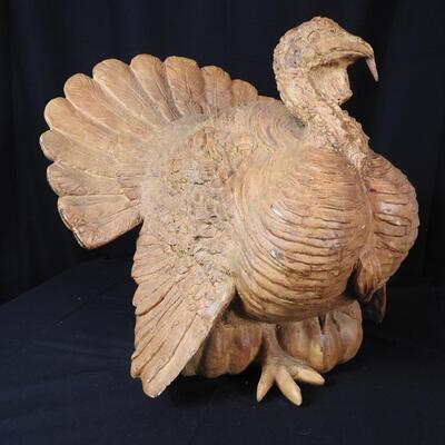 Large Thanksgiving Turkey