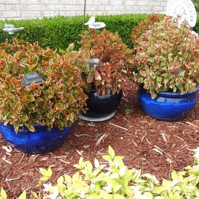 Trio of Large Flower Pots