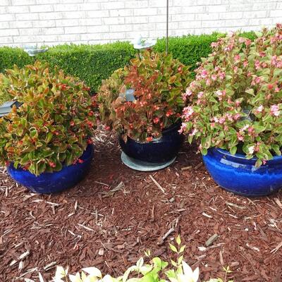 Trio of Large Flower Pots