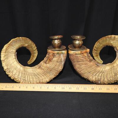 Rams Horn Candlesticks