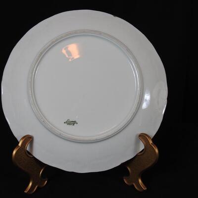 Collection of  Porcelain Cherub Plates