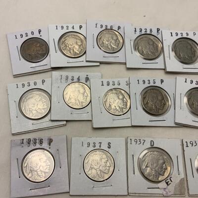 [104] Seventeen Buffalo Nickels | 1920-1938