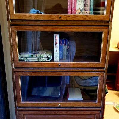 Lawyer's Book Case
