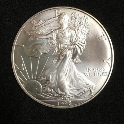 Key Date 1996 BU American silver eagle
