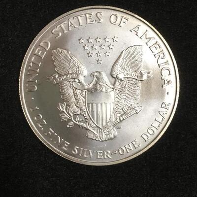 Key Date 1996 BU American silver eagle