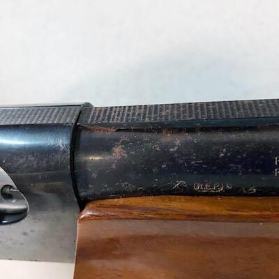 LOT#6XT: Remington Model 1100 (Transfer Required)