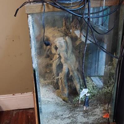Large fish tank set up