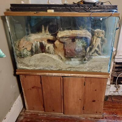 Large fish tank set up