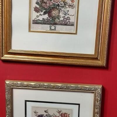 Framed botany prints