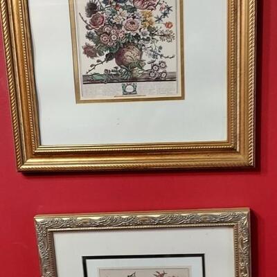 Framed botany prints